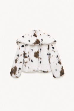 fur-coat-art-lc260483.jpg
